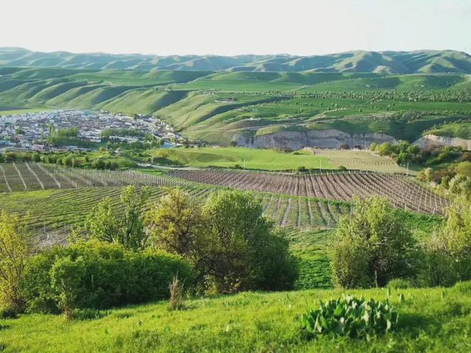 斬獲2024 CMB 10枚大獎(jiǎng)，絲路酒莊彰顯國產(chǎn)葡萄酒強(qiáng)勁發(fā)展勢(shì)頭